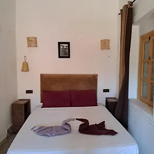 https://hostel-view-rooftop-terrace.marrakeshhotelsmorocco.com